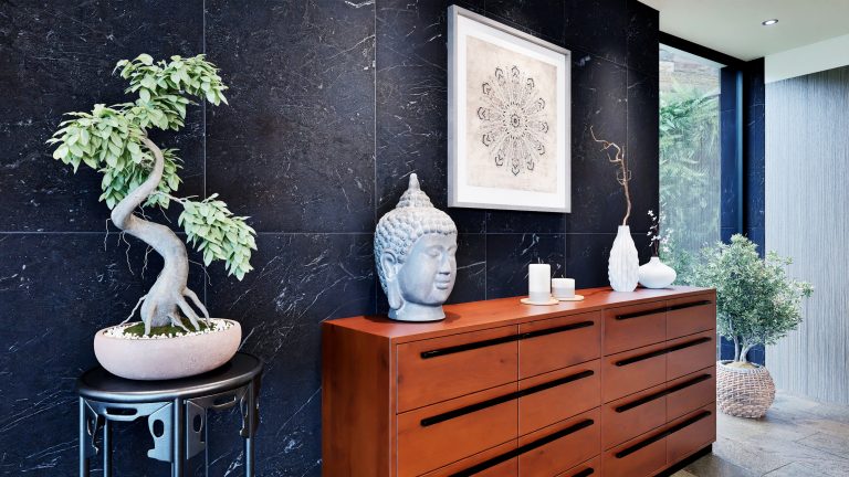 Vista mueble con bonsai