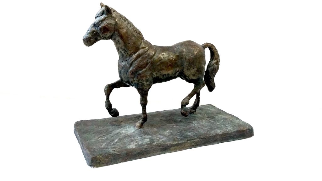 Caballo 4